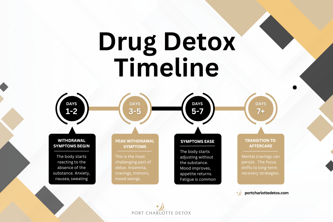 Port Charlotte Detox timeline showing drug withdrawal stages from Day 1 through recovery, including medical support and aftercare planning